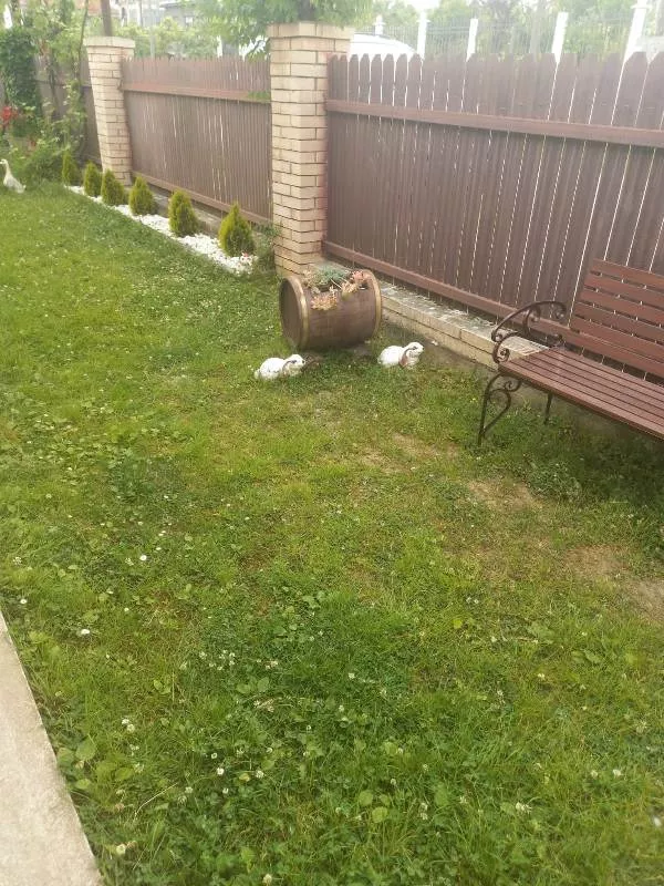 . Гостевой дом "Вавилон". Гудаута