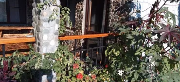 Гостевой дом Лотос  Гостевой дом Лотос