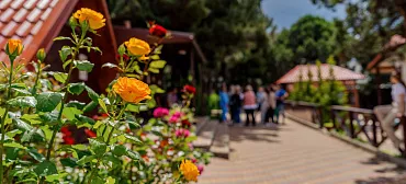 Курортный гостиничный комплекс “Можжевеловый Парк”