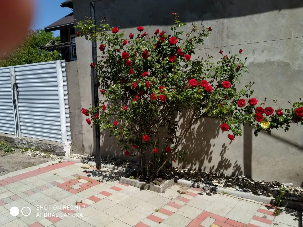 . Частный сектор "На Южной". Архипо-Осиповка