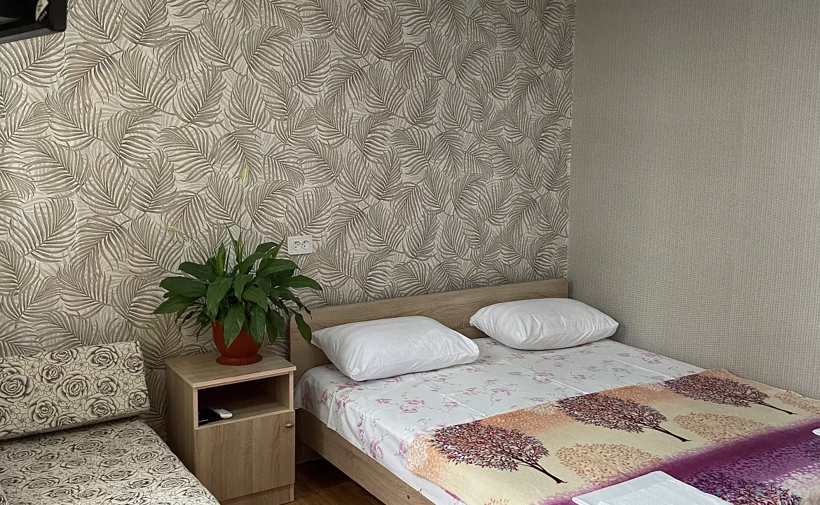 2-х местный номер с удобствами(фиол). Гостевой дом У Сергея и Веры . Гагра