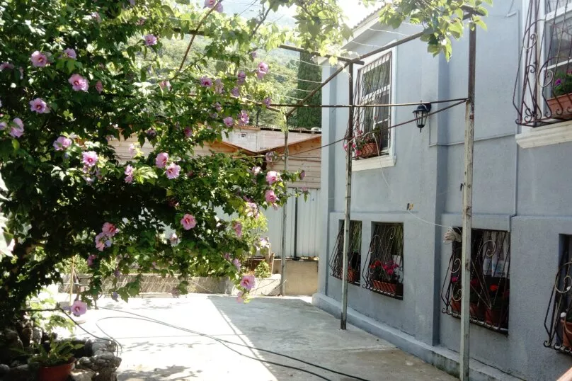 Гостевой дом Gagra Cat bnb