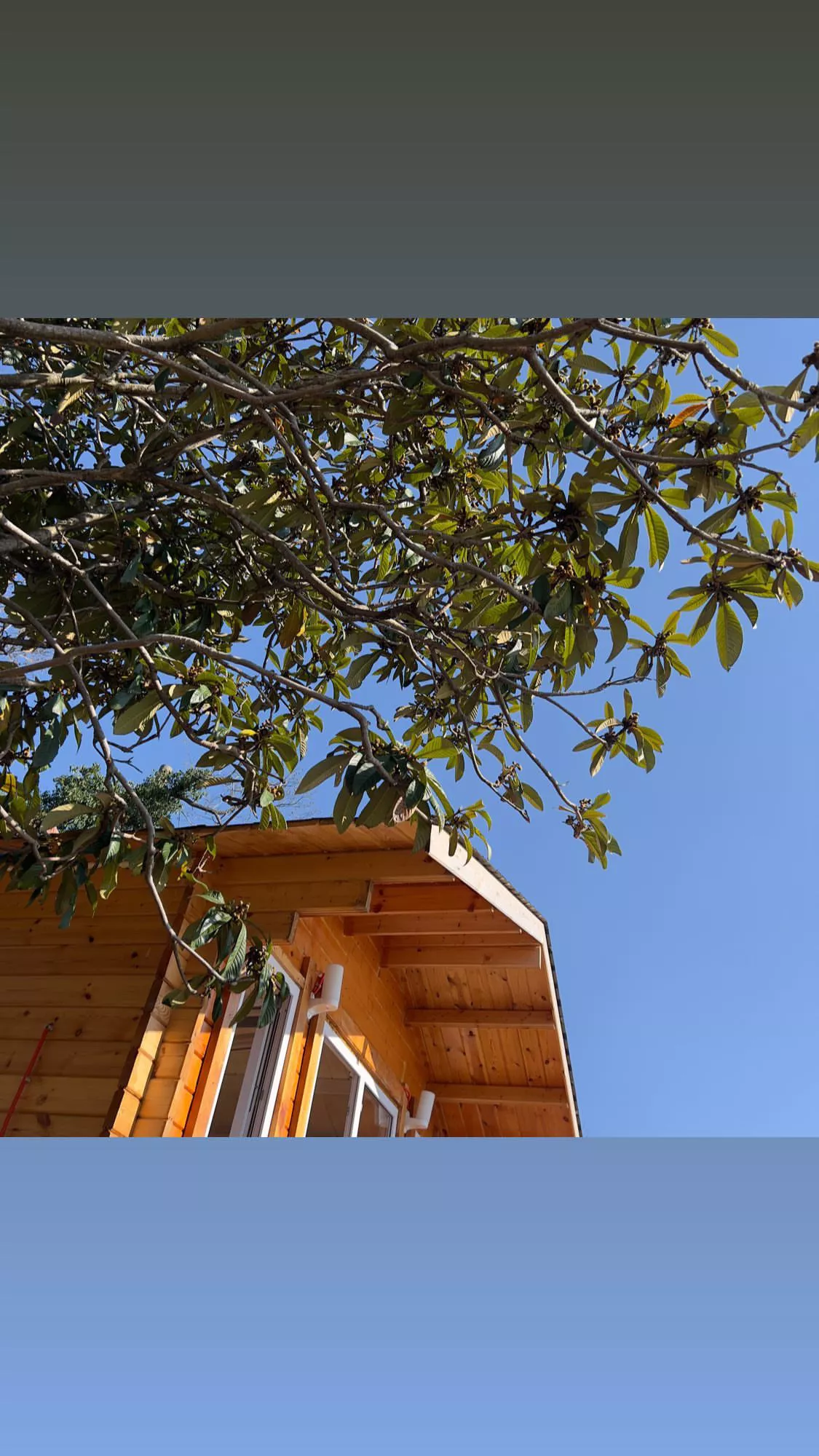 . Коттеджи на берегу моря со всеми удобствами . Сухум