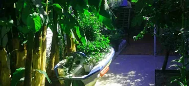 Дом под ключ Яблочко