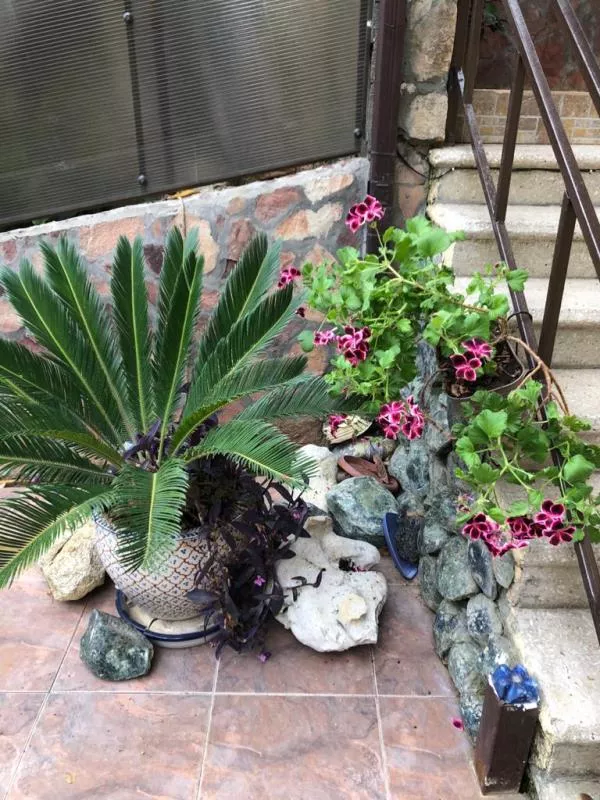 . Отель "Мыс Надежда" . Гагра