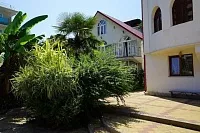 . Гостевой дом Амина. Сочи . Гостевой дом Амина. Сочи