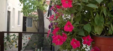 Частный сектор Комнаты в центре Анапы