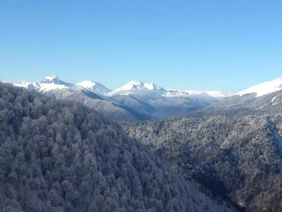 . Отель "Грейс Олимпия". Красная Поляна . Отель "Грейс Олимпия". Красная Поляна