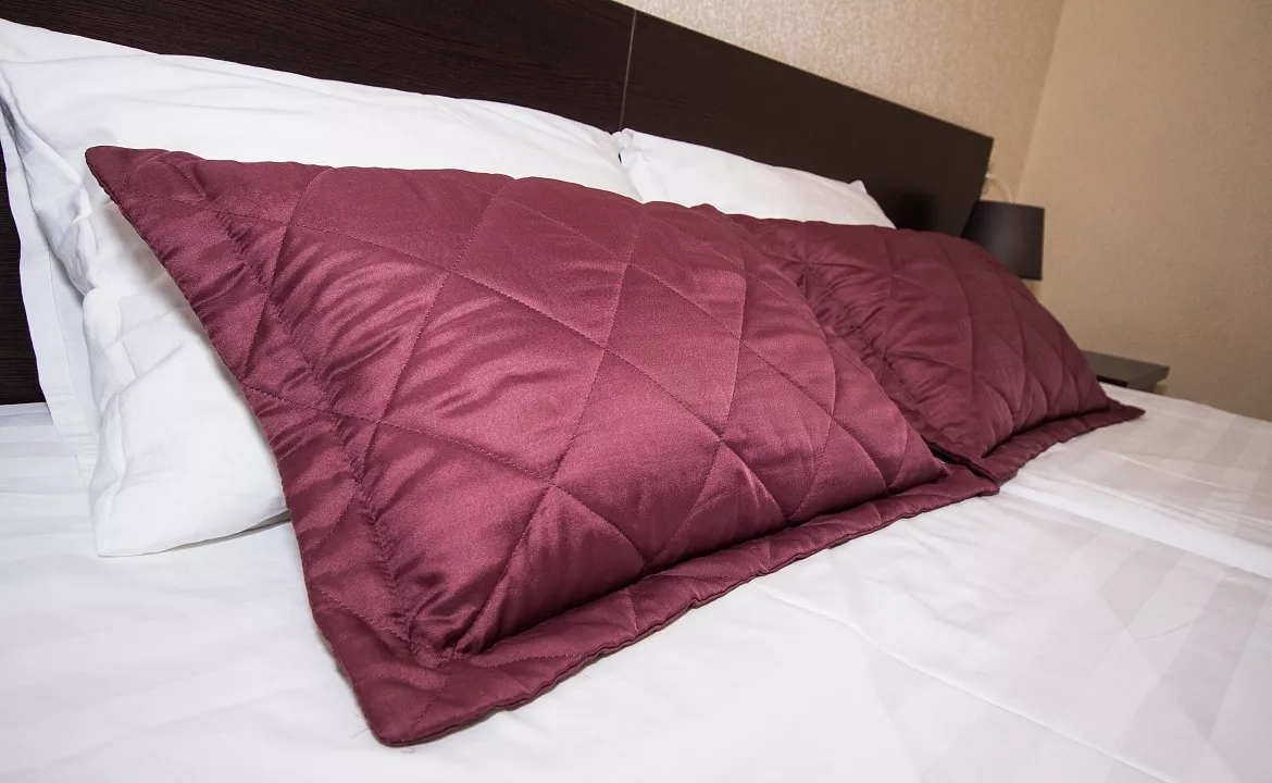 Стандарт 2-местный. Отель Робинзон. Анапа