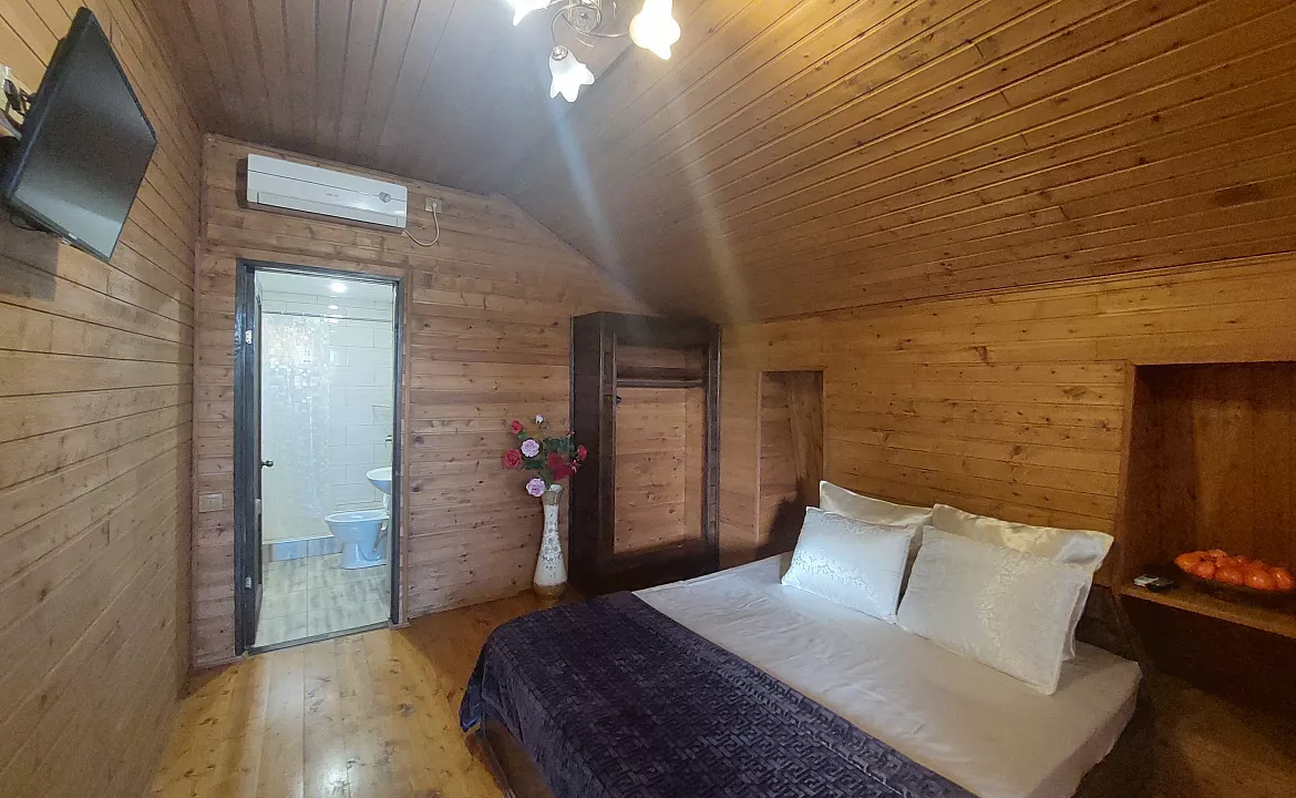 стандарт. Гостевой дом КАМЕЛИЯ. Пицунда