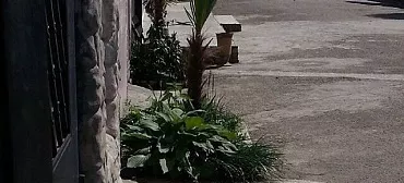 Частный сектор Одноэтажный