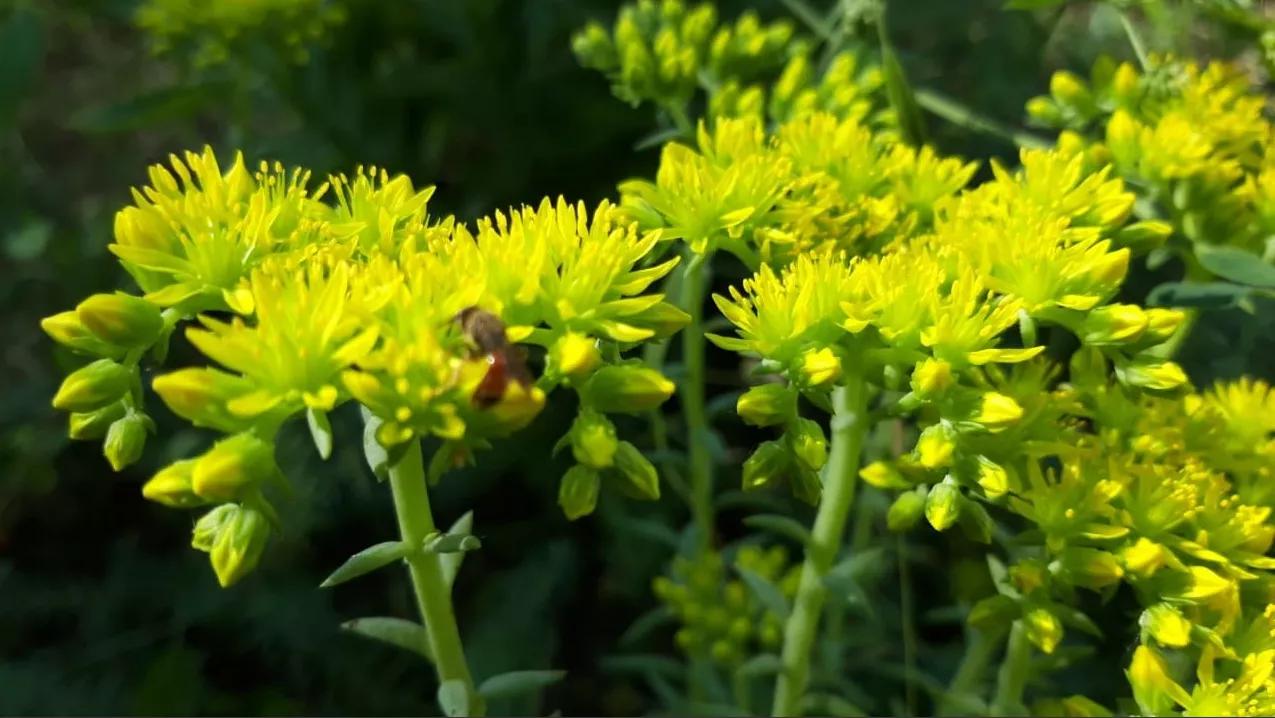 База отдыха  База отдыха