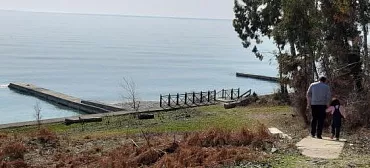 Гостевой дом "Апельсин"