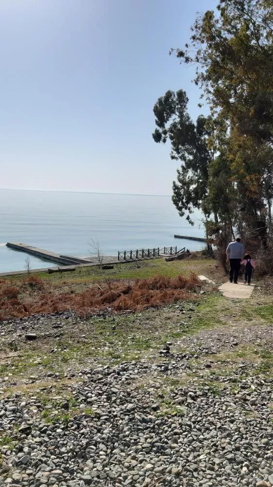 . Гостевой дом "Апельсин". Новый Афон