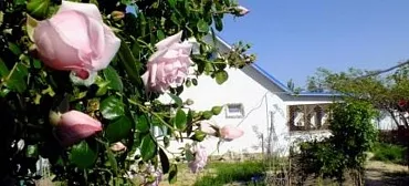 Дом под ключ На Комсомольской 25