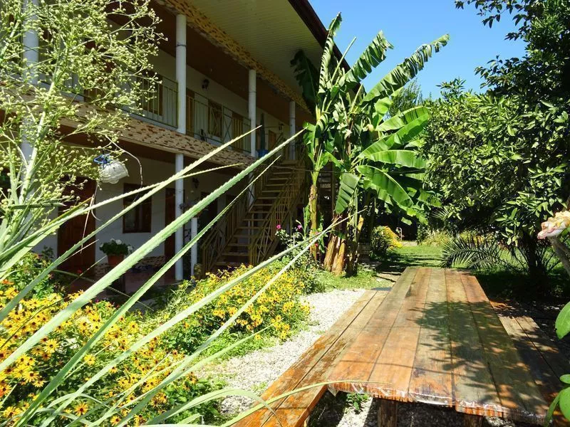 . Частный сектор "Мандаринка". Пицунда