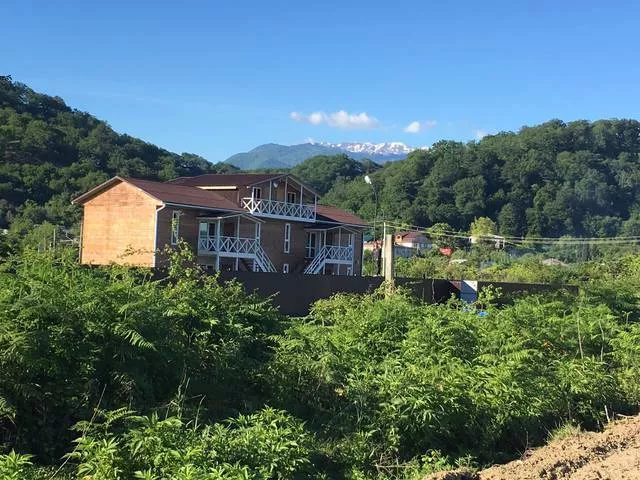 . Отель «Pine Beach». Пицунда