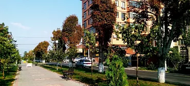 Квартира в многоквартирном доме Однокомнатная Кати Соловьяновой 84