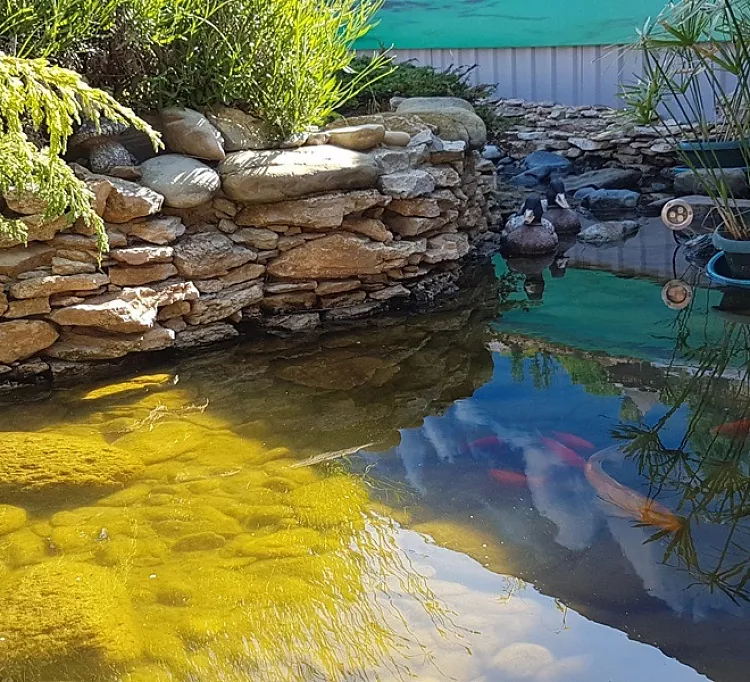 . Частный гостевой дом Белиссимо. Голубицкая . Частный гостевой дом Белиссимо. Голубицкая