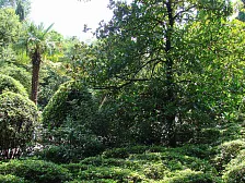 Санаторий Запорожье Санаторий Запорожье