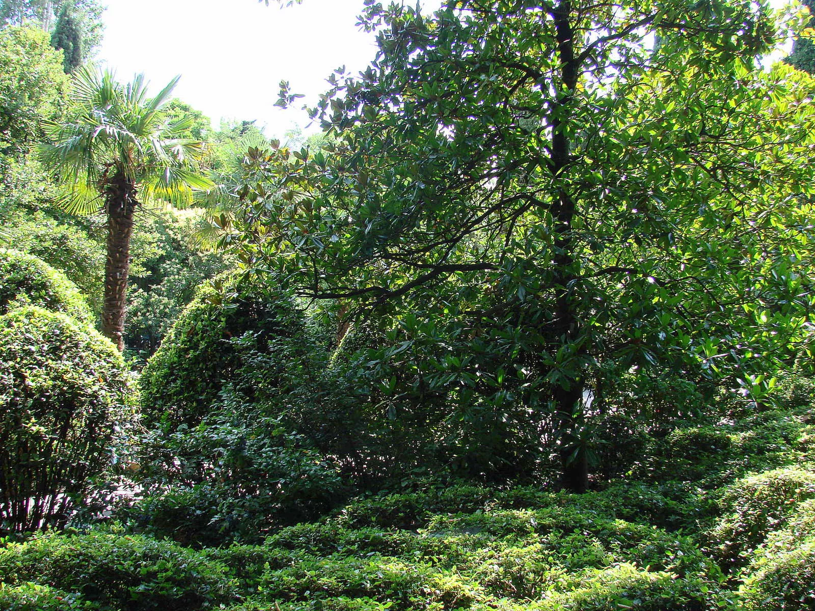 . Санаторий Запорожье. Ялта