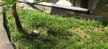 Гостевой дом "На Моряков 12"