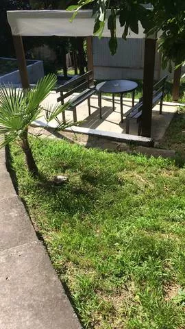 . Гостевой дом "На Моряков 12". Лазаревское . Гостевой дом "На Моряков 12". Лазаревское