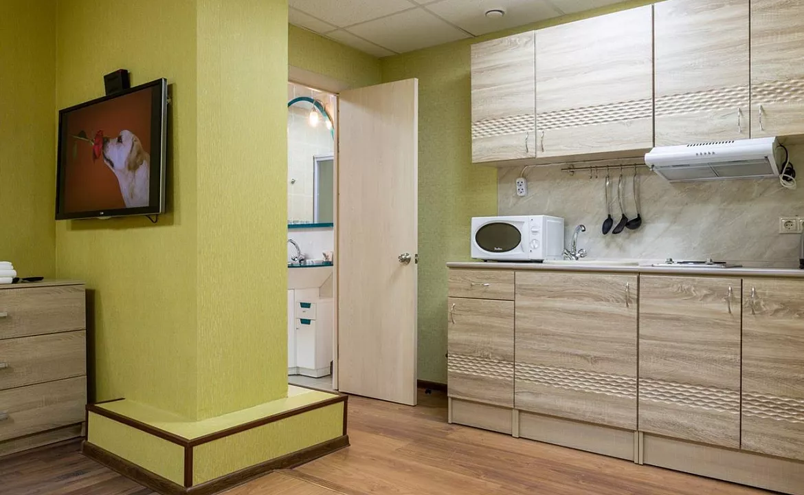 Апартаменты с кухней. Апартаменты на 8 небе. Сочи