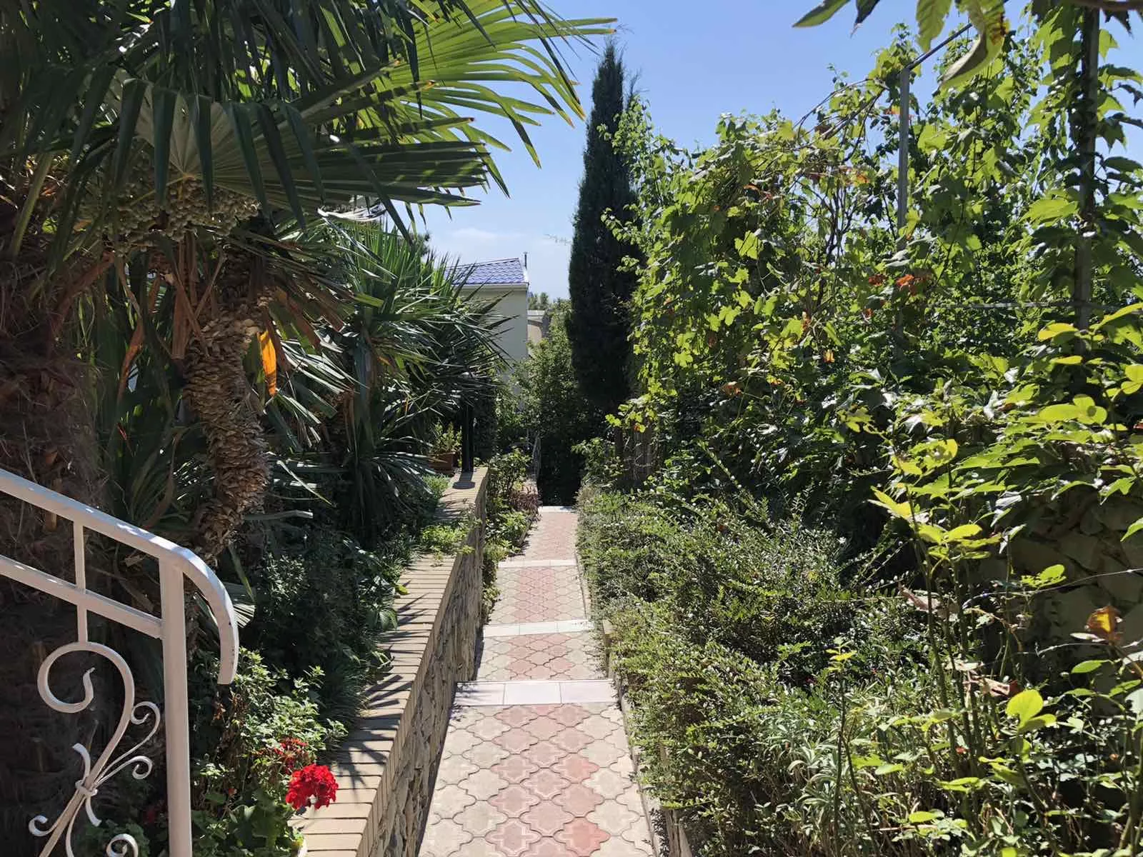 . Гостевой дом АнНи. Гаспра