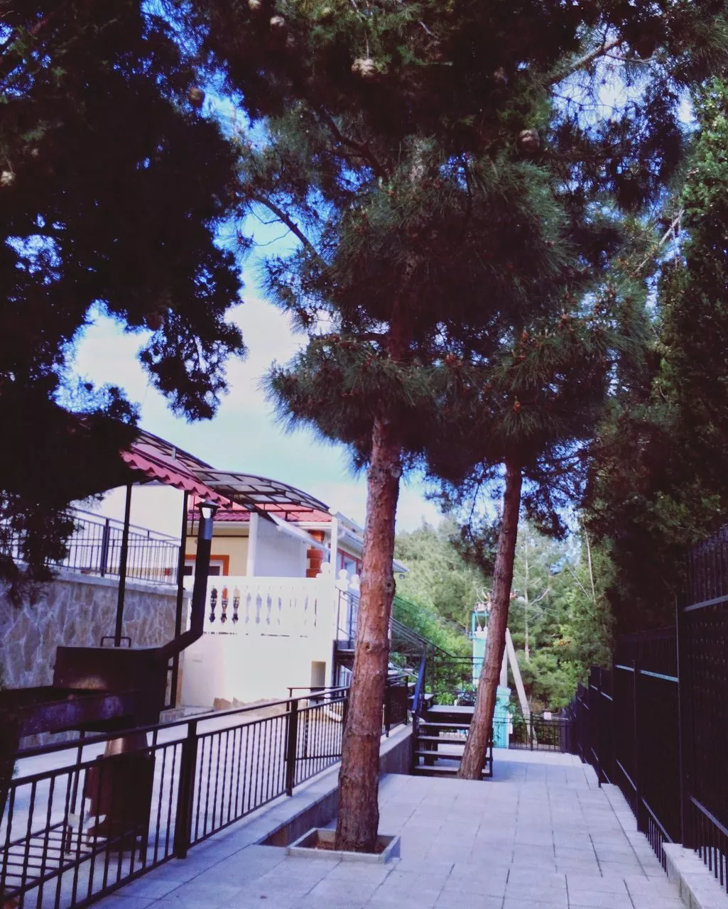 . Дом отдыха "Дельфин". Семидворье