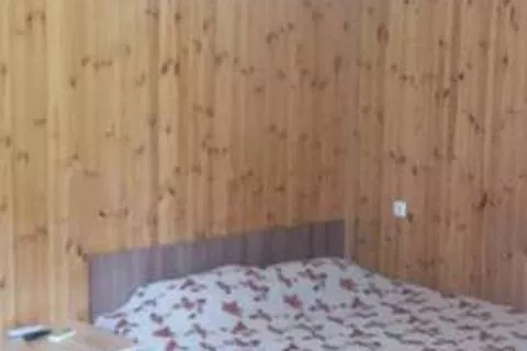 Двухместный. Гостевой дом Фортуна - Головинка. Головинка