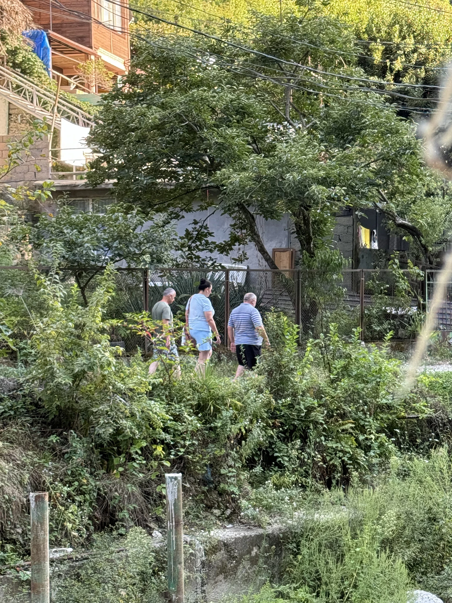 . Гостевой дом "Пантера". Гагра