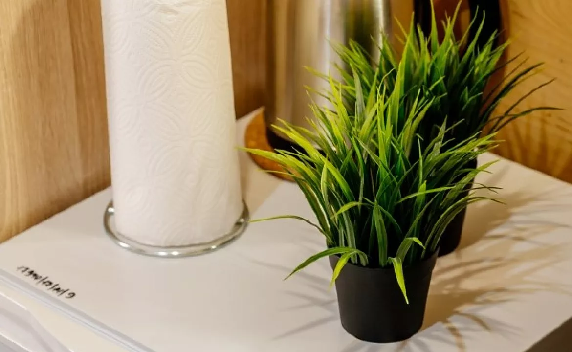 Апартаменты трехместные. Эко-апартаменты EcoSuite. Сочи