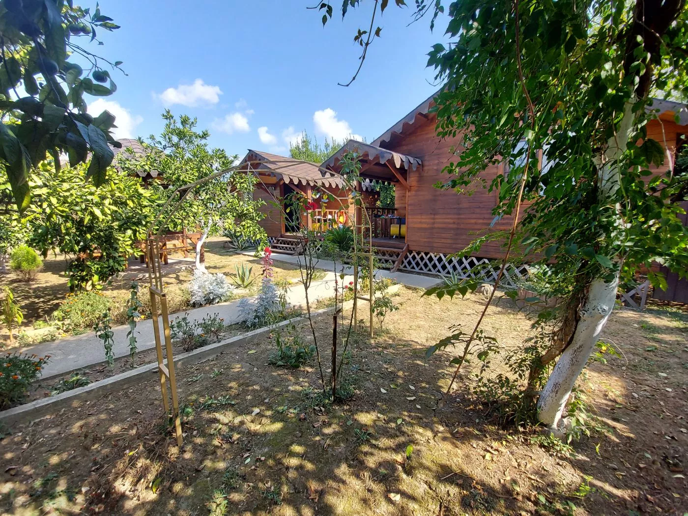 . Гостевой дом КАМЕЛИЯ. Пицунда