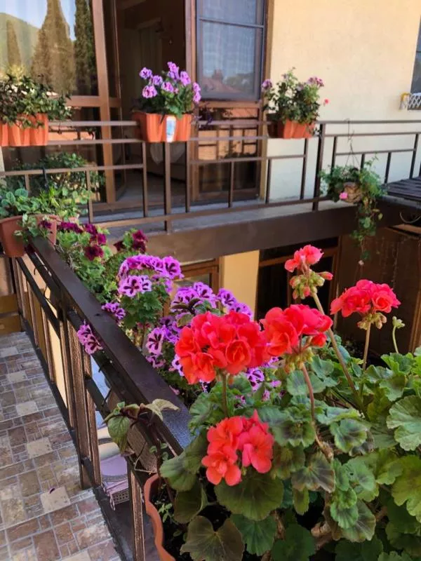 . Отель "Мыс Надежда" . Гагра