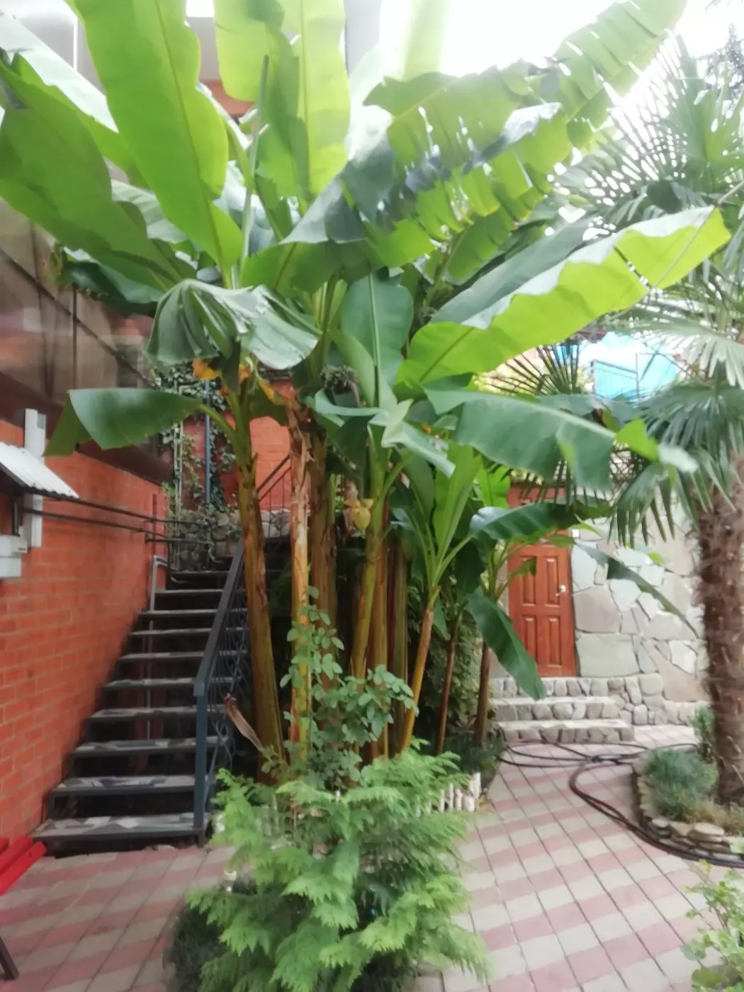 . Гостевой дом КАРАВЕЛЛА. Лазаревское