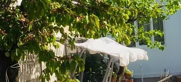 Гостевой дом гостевой дом Новая Гагра