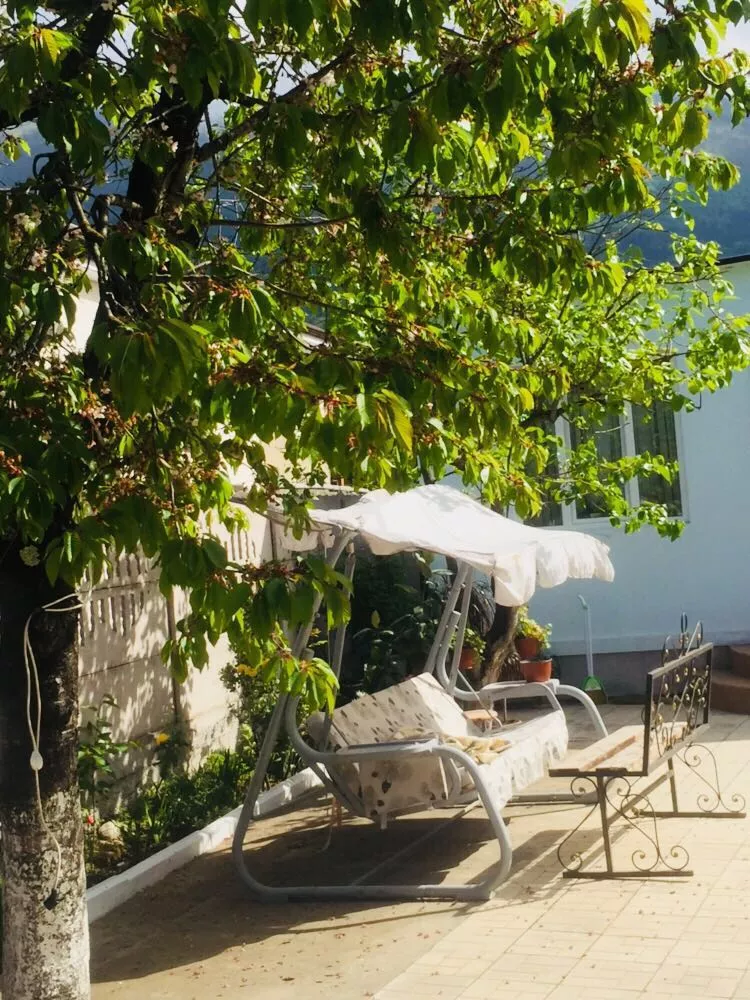 . Гостевой дом гостевой дом Новая Гагра. Гагра