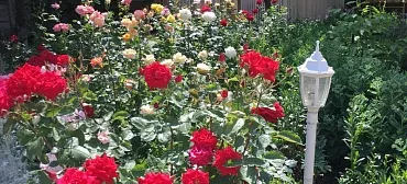 Гостевой дом "Солнечный" - Сукко