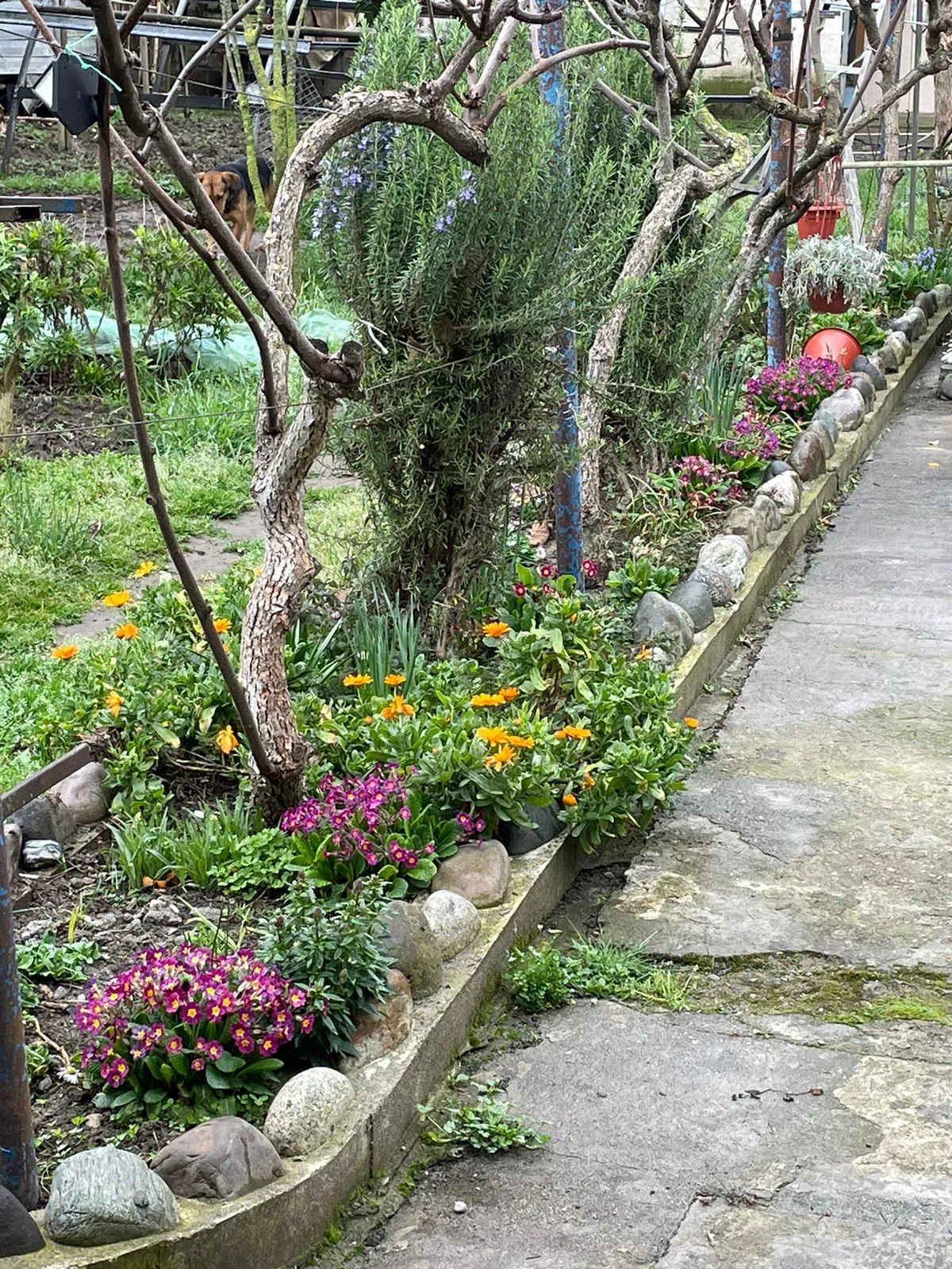 . Гостевой дом ЭЙВА. Пицунда