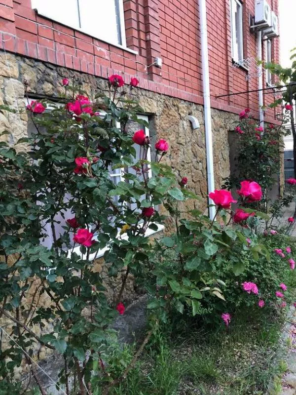 . Гостевой дом "ЮрГа". Агой