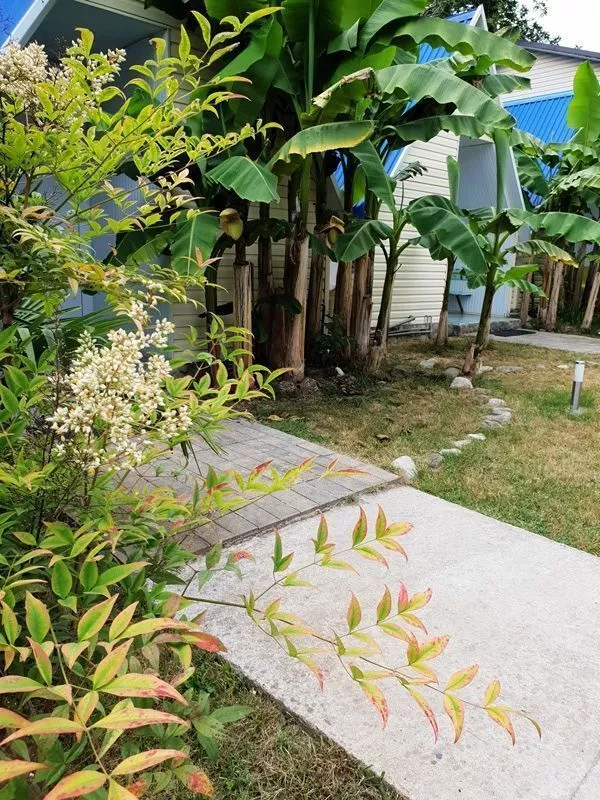 . Гостевой дом "Теряев Ручей". Каткова Щель