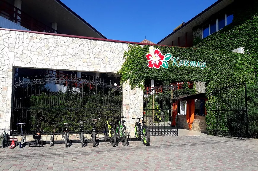 . Мини-отель "Квитка". Саки