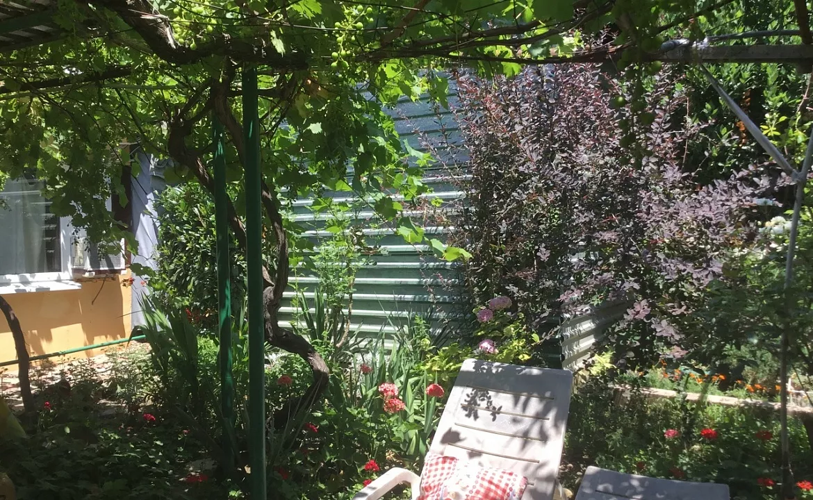 Глэмпинг. Гостевой дом «Лазурное». Лазурное