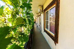 Гостевой дом Связь Времён