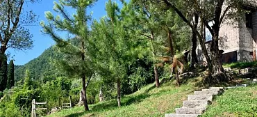 Гостиница "Guest house Maslina"