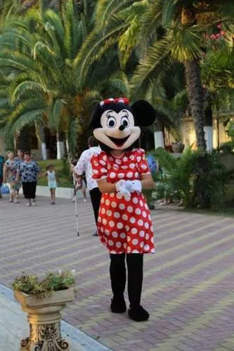 . Отель "Челюскинцев". Гагра