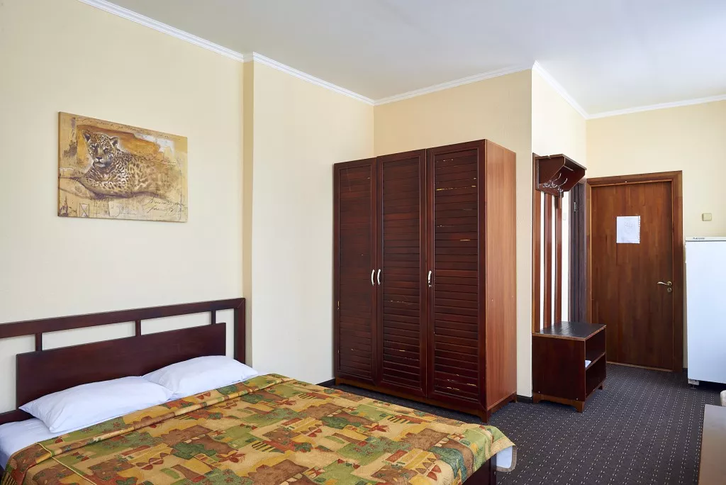 «Супериор» — однокомнатный номер. Пансионат "Лад" ★★★. Макопсе «Супериор» — однокомнатный номер. Пансионат "Лад" ★★★. Макопсе