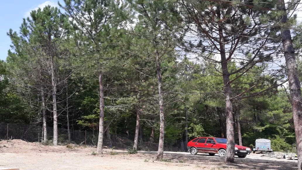 . Частный сектор "НезаБудка". Голубая бухта