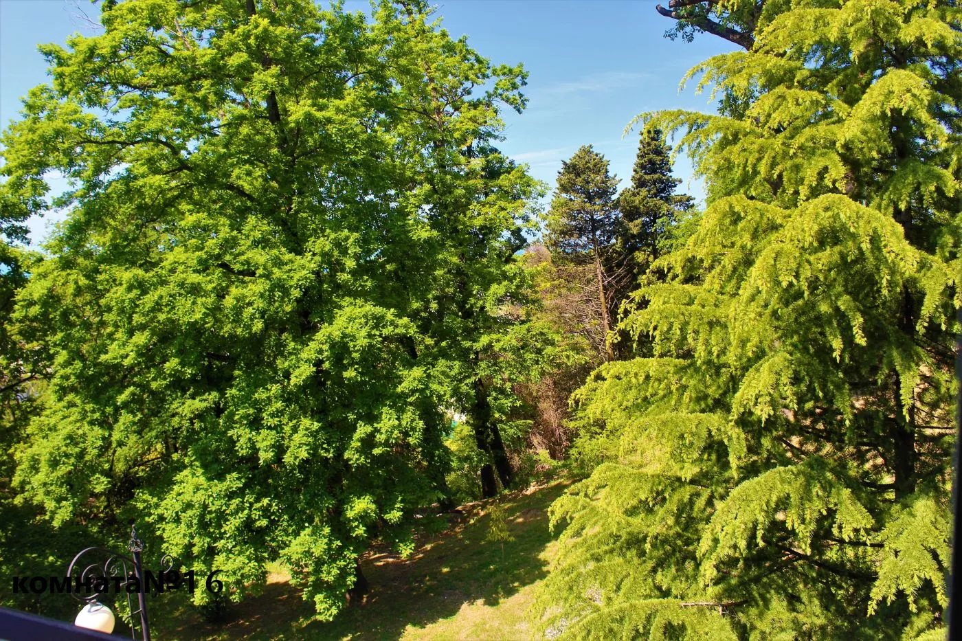. Гостевой дом "ЖЕМЧУЖИНА" - Лазаревское. Лазаревское